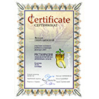 Просмотреть в полном размере